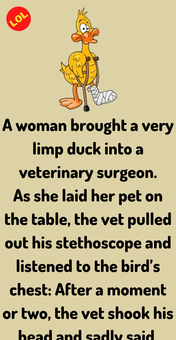 A Woman Brought A Very Limp Duck - Lolopo